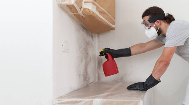 Professional Bathroom Mold Removal technician working in Halethorpe, MD